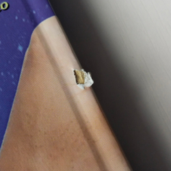 Тайная жизнь Небесных Учителей — НЕБОЛЬШИЕ ПОВРЕЖДЕНИЯ