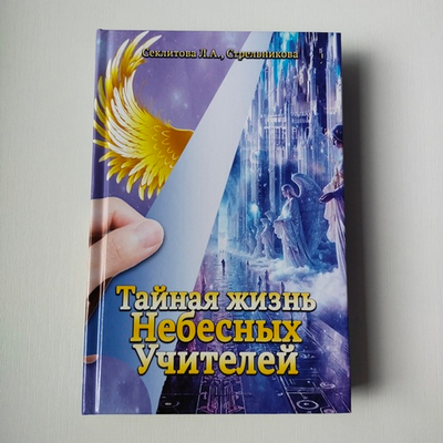 Тайная жизнь Небесных Учителей — НЕБОЛЬШИЕ ПОВРЕЖДЕНИЯ