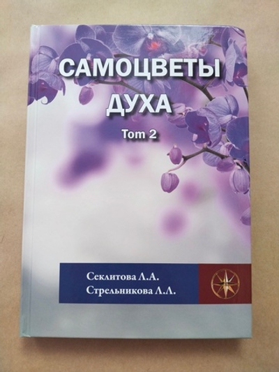 Самоцветы духа, Том 2 — НЕБОЛЬШИЕ ПОВРЕЖДЕНИЯ
