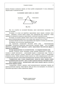 Создание человека