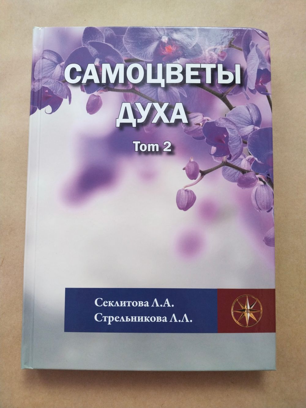 Самоцветы духа, Том 2 — НЕБОЛЬШИЕ ПОВРЕЖДЕНИЯ