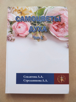 Самоцветы духа, Том 1 — НЕБОЛЬШИЕ ПОВРЕЖДЕНИЯ