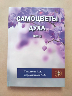 Самоцветы духа, Том 2 — НЕБОЛЬШИЕ ПОВРЕЖДЕНИЯ